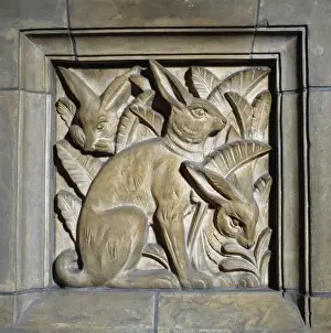 The Natural History Museum, London