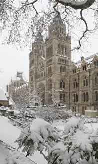 The Natural History Museum, London