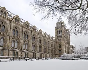 The Natural History Museum, London