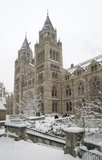 The Natural History Museum, London