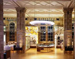 The Natural History Museum Shop