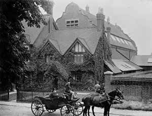 Equus Prints: The Natural History Museum at Tring, photographed in 1899
