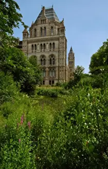 The Natural History Museum Wildlife Garden