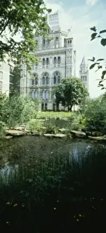 The Natural History Museum Wildlife Garden