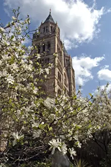 The Natural History Museum Wildlife Garden