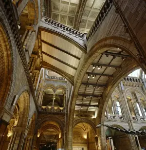 Central Hall Prints: The Natural History Museums Central Hall