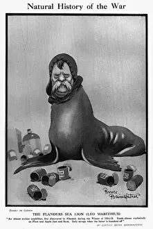 Plum Prints: Natural History of the War by Bruce Bairnsfather