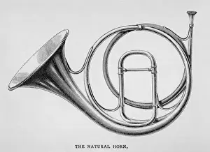 Natural Horn on its Own