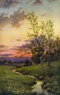 Harmony Prints: Natures harmony