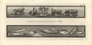 Antiquitiesofherculaneum Gallery: Naval battle between Bireme warships manned