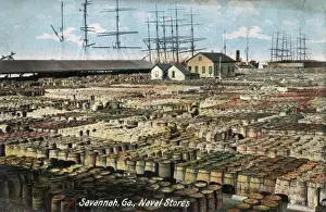 Savannah Prints: Naval stores at Savannah, Georgia, USA