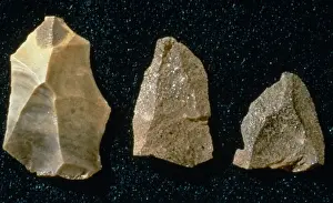 Paleolithic Prints: Neanderthal artifacts