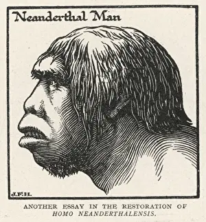 Neanderthal Prints: Neanderthal Man / Profile