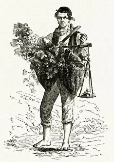 Neapolitan grape seller 1886