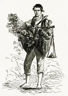 Neapolitan Prints: Neapolitan grape seller 1886