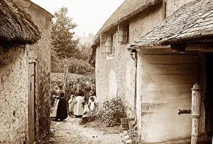 Ashburton Prints: Near Ashburton, devon