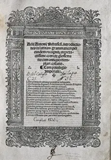 NEBRIJA, Antonio Martinez de Cala, called Antonio