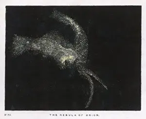 Nebula in Orion