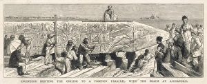 Cleopatras Collection: Needle Ready to Travel