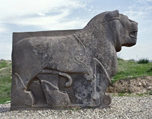 Neo-Hittite. Colossal basalt lion found in 1955. Ain Dara Te Neo-Hittite. Colossal basalt lion found in 1955. Ain Dara Te