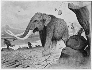 Mammoth Prints: Neolithic mammoth hunt