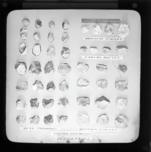Abbott Prints: Neolithic thumb scrapers
