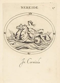 Nymph Prints: Nereid riding hippocamps in the ocean