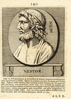 Gods And Heroes Prints: Nestor of Gerenia, legendary wise King of Pylos