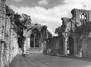 Images Dated 28th June 2011: Netley Abbey