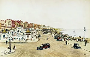 New Aquarium, Brighton, Sussex
