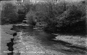 A New Forest Stream