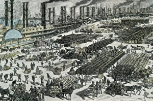 Etching Gallery: New Orleans (1881). Wharf on Mississippi river