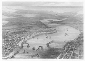 Paddle Gallery: New Orleans / Birds Eye