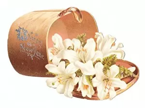 Images Dated 17th November 2015: New Year card in the shape of a box of white lilies