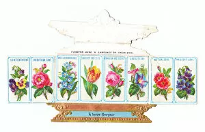 Images Dated 11th May 2018: New Year card in the shape of an ornate box