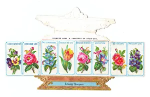 Images Dated 11th May 2018: New Year card in the shape of an ornate box