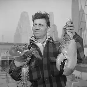 Fulton Prints: New York, New York. Dock stevedore at the Fulton fish market