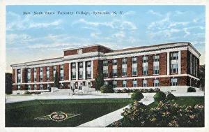 Syracuse Prints: New York State Forestry College, Syracuse, NY, USA Date: circa 1920