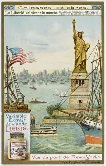 New York / Statue Liberty
