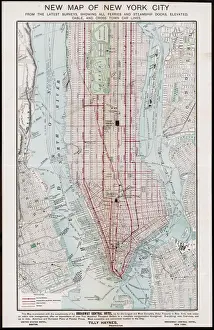 Options Prints: New York / Street Plan