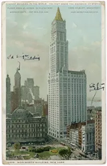 New York / Woolworth Bldg