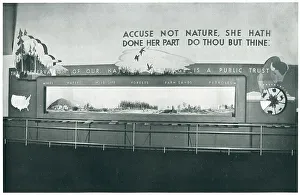 Commission Prints: New York World's Fair, Conservation