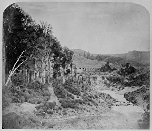 New Zealand New Zealand