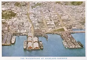 Auckland Prints: New Zealand / Auckland
