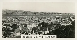 New Zealand - Dunedin and the Harbour