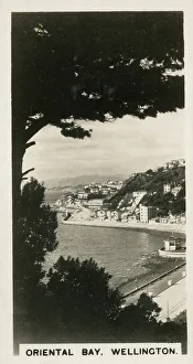 New Zealand - Oriental Bay, Wellington