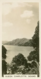 New Zealand - Queen Charlotte Sound