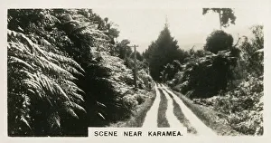 New Zealand - Scene near Karamea