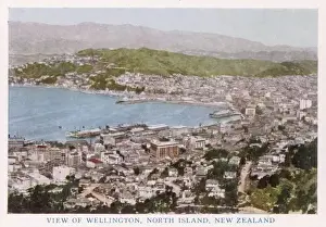 New Zealand / Wellington