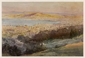 New Zealand / Wellington